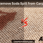 remove soda spill from carpet-