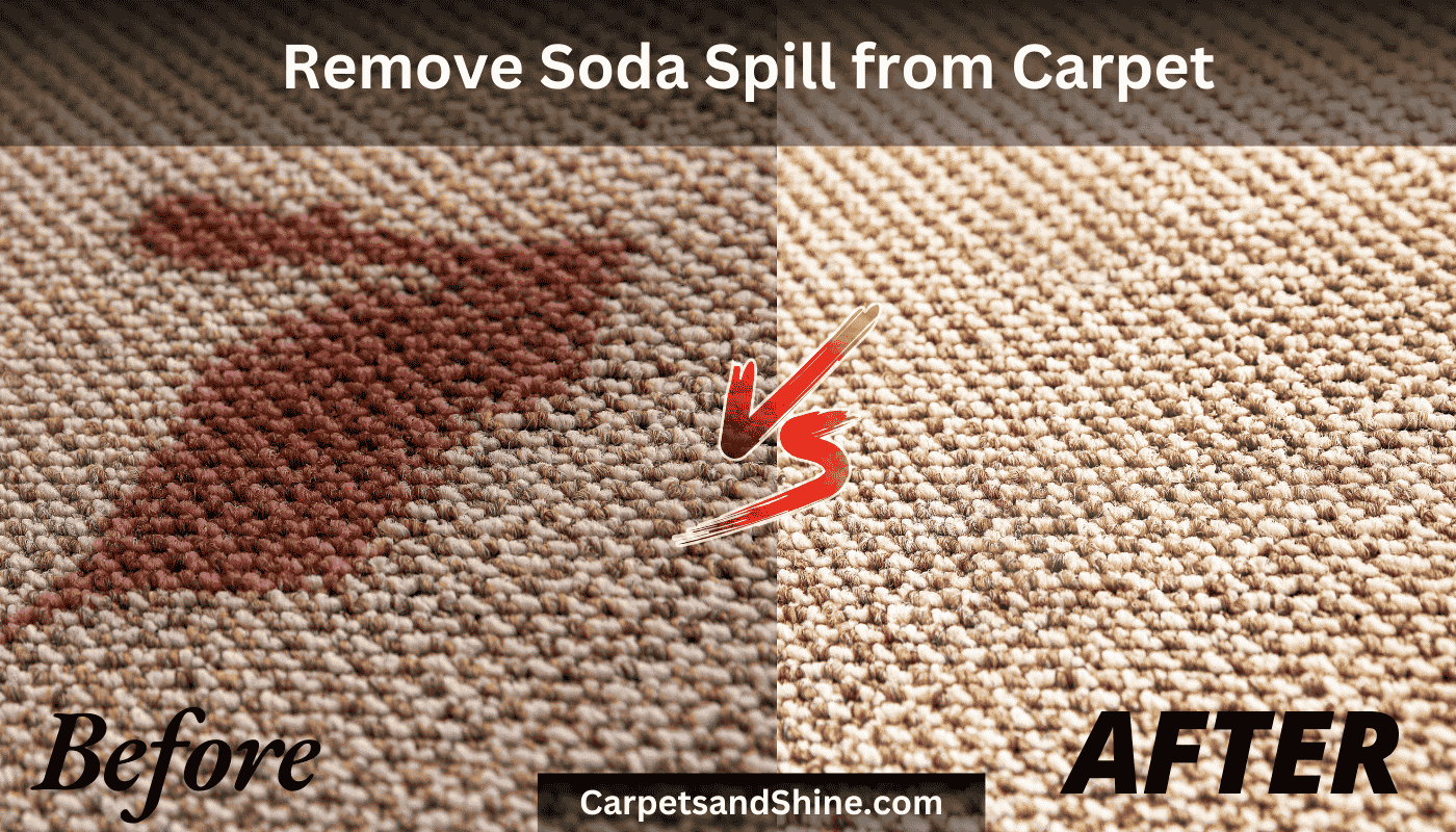 remove soda spill from carpet-