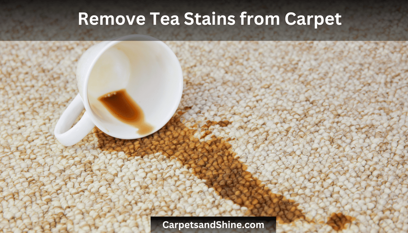 remove tea stains from carpet